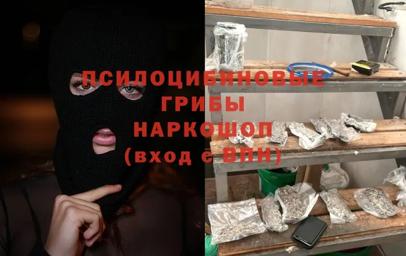 darknet состав  Лиски  Псилоцибиновые грибы Magic Shrooms 